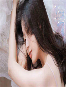 侠岚第四季