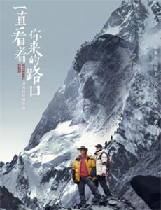 阿伦罗杰斯迷之四分卫